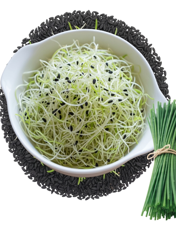 Sklep.jpg