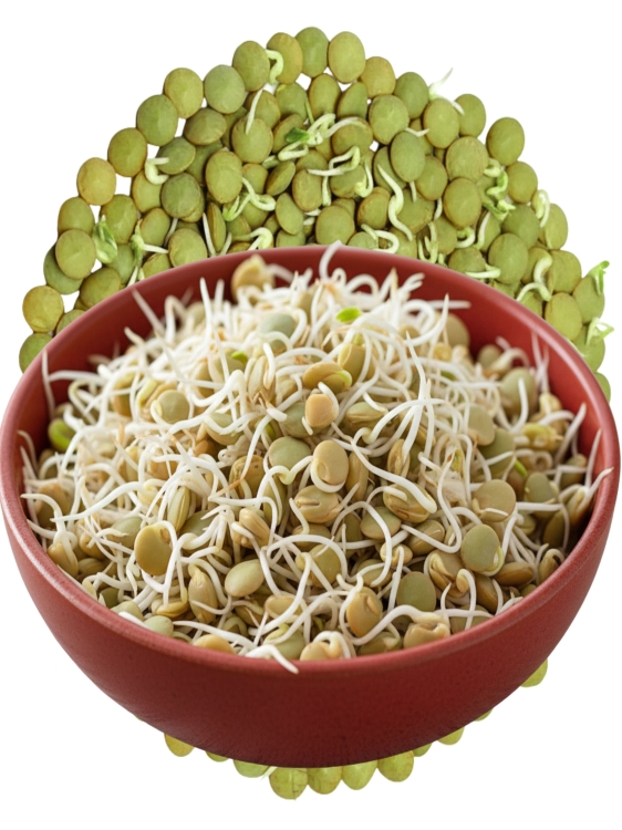 Sklep.jpg