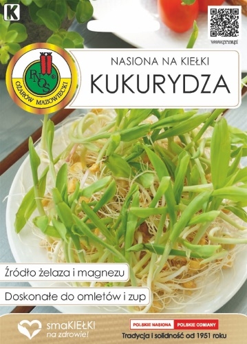 nasiona kiełki kukurydza.jpg