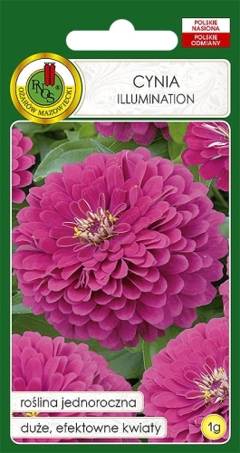 Nasiona-PNOS---Nasiona-kwiatow---cynia-ilumination.jpg