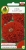 Nasiona-PNOS---Cynia-daliowa-Scarlet-Flame.jpg