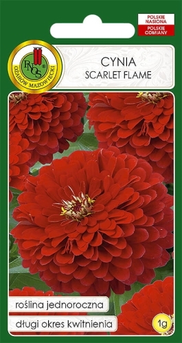Nasiona-PNOS---Cynia-daliowa-Scarlet-Flame.jpg
