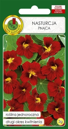 Nasiona nasturcja pnąca.jpg
