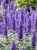 Gemini_Generated_Image_9093ve9093ve9093.jpg