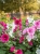 Gemini_Generated_Image_es4g3qes4g3qes4g.jpg
