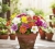 Gemini_Generated_Image_jh5ebojh5ebojh5e.jpg