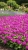 Gemini_Generated_Image_wqg65wqg65wqg65w.jpg