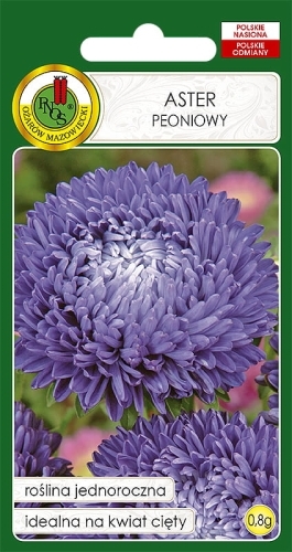 Nasiona-PNOS---Nasiona-kwiatow---aster-peoniowy-niebieski.jpg