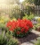 Gemini_Generated_Image_84fo3184fo3184fo.jpg