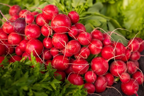 radishes-6757642_1920.jpg