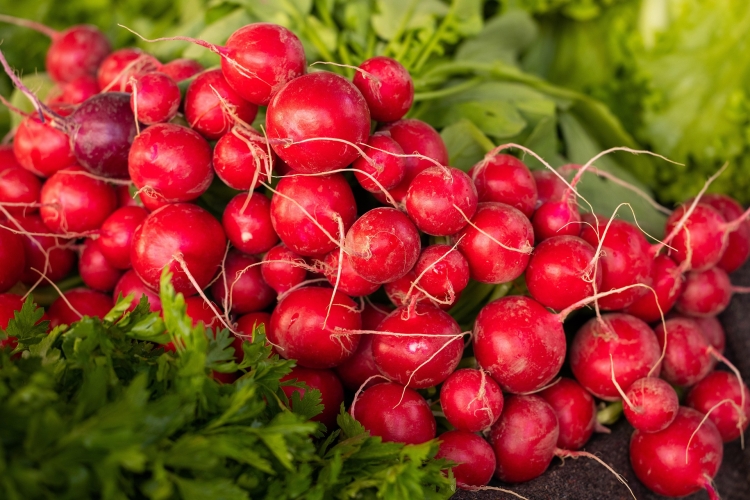 radishes-6757642_1920.jpg