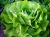 nature-940032_1920.jpg