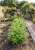 Gemini_Generated_Image_99u11499u11499u1.jpg
