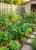 Gemini_Generated_Image_jy608yjy608yjy60.jpg