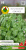 Bazylia-wlasciwa-zielona-Genovese-0,3g-nasiona-ziol.png