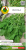 Nasiona-PNOS---Rucola-Eruca-Sativa-0,2g.png