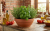 Gemini_Generated_Image_9lge119lge119lge.png