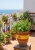 Gemini_Generated_Image_b4ipg3b4ipg3b4ip (1).jpg