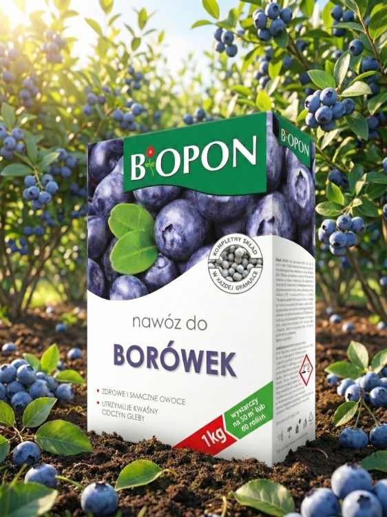 Sklep-borówki.jpg