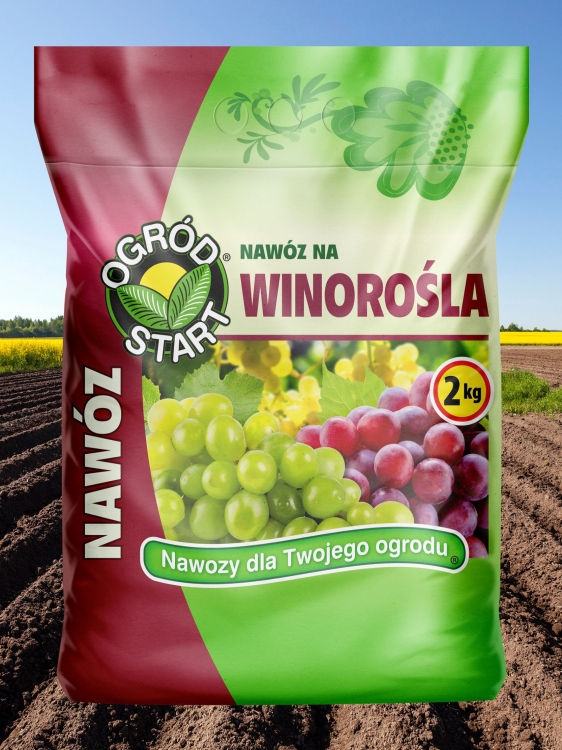 Sklep__winorośla.jpg