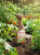 Gemini_Generated_Image_59i20259i20259i2.png