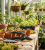Gemini_Generated_Image_d14074d14074d140.png