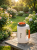 Gemini_Generated_Image_15ge4715ge4715ge.png