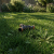 Gemini_Generated_Image_c6iiplc6iiplc6ii.png