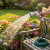 Gemini_Generated_Image_noaaq1noaaq1noaa.png