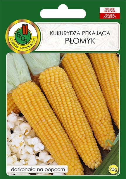 Nasiona-PNOS-nasiona-kukurydzy.jpg