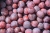fruit-g2700452b5_1920.jpg