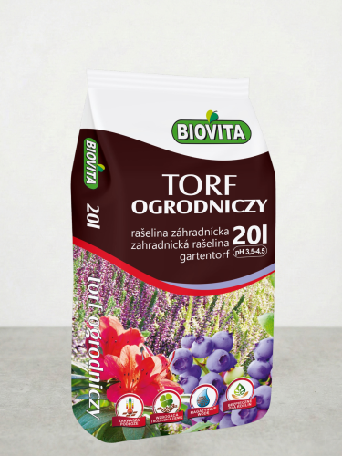 Projekt bez nazwy (5).png