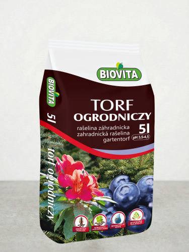 Projekt bez nazwy (5).png