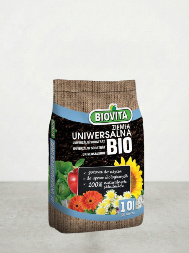 Projekt bez nazwy (5).png