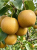 Gemini_Generated_Image_oc1mx3oc1mx3oc1m — kopia.png