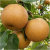 Gemini_Generated_Image_6huca46huca46huc.png