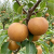 Gemini_Generated_Image_xuc5fmxuc5fmxuc5.png