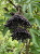 Gemini_Generated_Image_bg3hbkbg3hbkbg3h — kopia.png