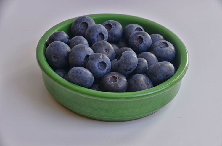 blueberries-1544637_1920.jpg
