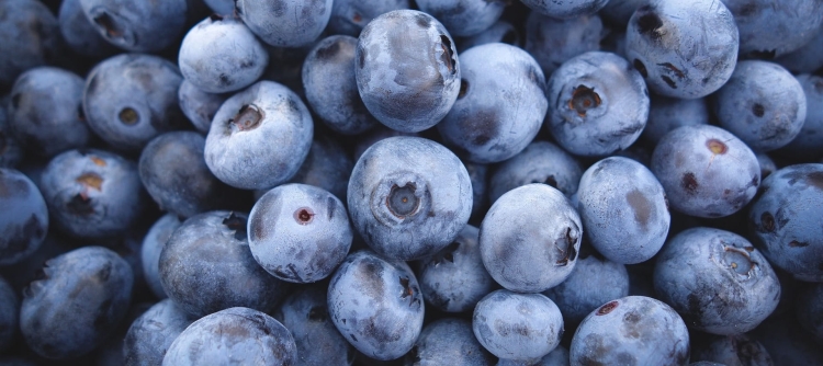 blueberries-3016758_1920.jpg