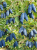 Gemini_Generated_Image_tmcuywtmcuywtmcu — kopia.png