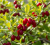 Gemini_Generated_Image_s7o77ns7o77ns7o7.png