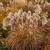 Gemini_Generated_Image_6fa4036fa4036fa4.png