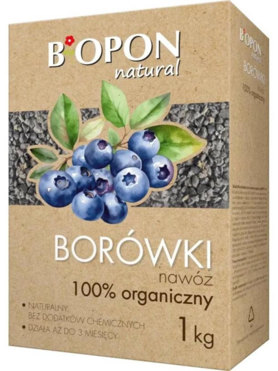 Tło folder inne.png