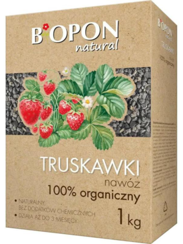 Tło folder inne.png