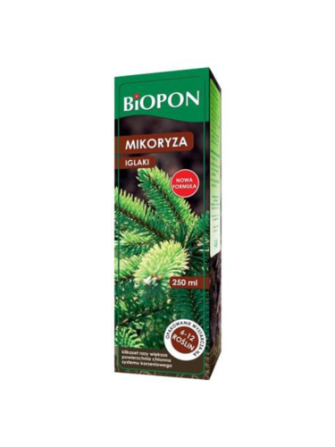 Tło folder inne.png