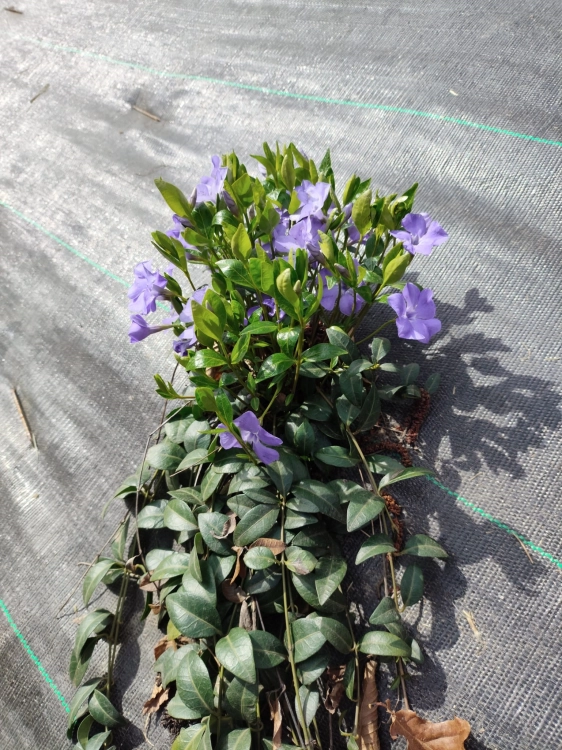 atsAppmag2026-04-09at 9.34.41.jpg