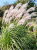 Gemini_Generated_Image_tycz9ftycz9ftycz — kopia.png