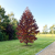 Gemini_Generated_Image_3dn9fa3dn9fa3dn9.png