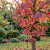 Gemini_Generated_Image_a20o7ca20o7ca20o.png
